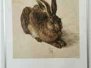 Albrecht Durer's 'Young Hare', Albertina Museum. 
